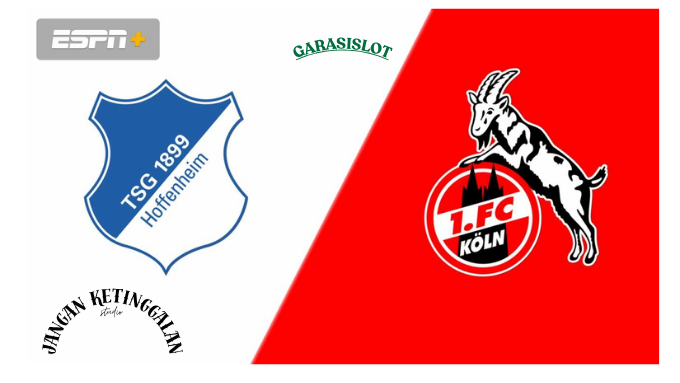 Pertandingan Hoffenheim vs Koln